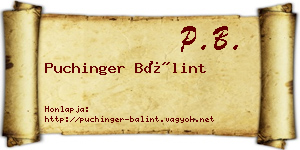Puchinger Bálint névjegykártya